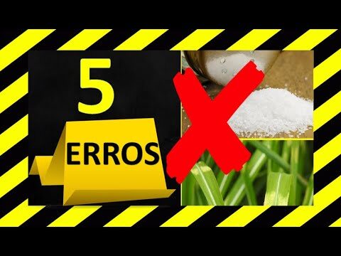 Guía para Comprar Alimentos Ecológicos en Foz