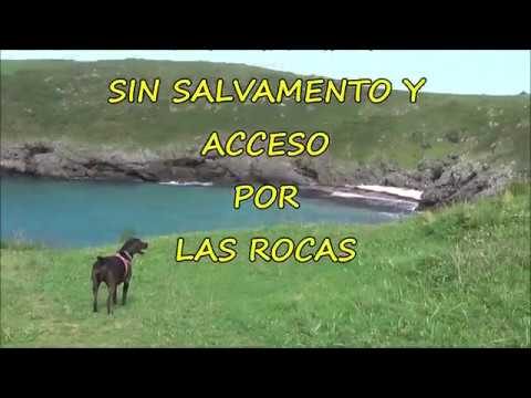 Senderismo con Perros: Mejores Rutas en Viveiro