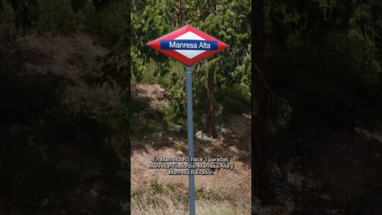 Transporte Público Nocturno en Sarria: ¿Es Eficiente?