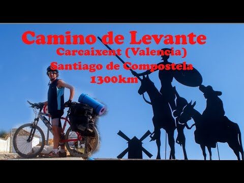 Reparaci&oacute;n de Bicicletas en Portomar&iacute;n: Gu&iacute;a Completa