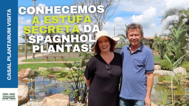 Gu&iacute;a para conseguir entradas de eventos en Viveiro