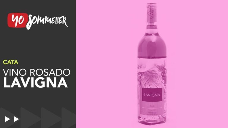 Descubre los Mejores Lugares para Probar Vinos en Sarria